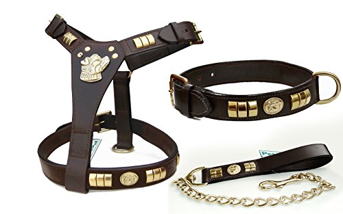 Personal Staffie Staffordshire Bull Terrier perro arnés, collar y cadena plomo Juego Negro y marrón latón (DF)