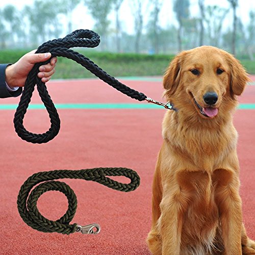 Pet Online Cuerda de tracción para perros para mascotas para perro grande Cinturón ajustable para tendones trenzados, oliva, L