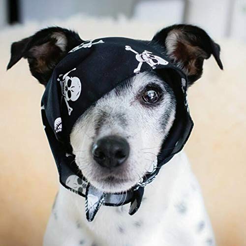 Pet Pooch Boutique - Bandana para Perro con Estampado de Calaveras