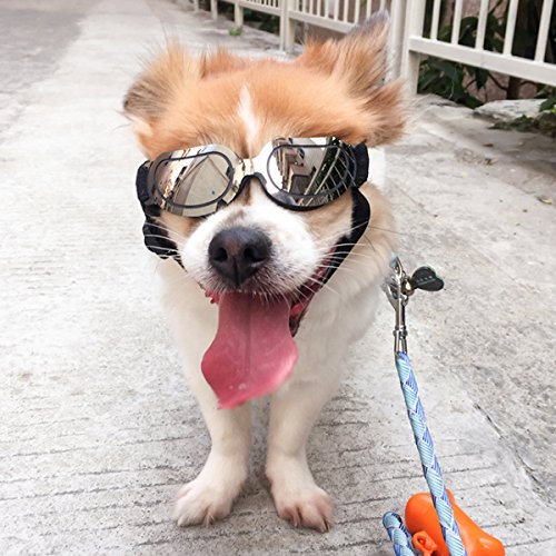 PETCUTE Gafas de Sol para Perros Mascotas Gafas de Sol Protectoras Resistentes al Agua para Perros medianos o pequeños