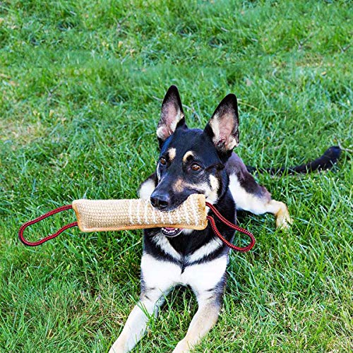 PetGens mordedor Perro, 30 cm, K9 Dummy y motivador canino Resistente y Duradero - Juguetes para Perros de Entrenamiento