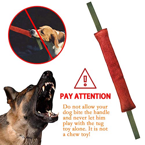 PetGens mordedor Perro, Juguetes para morder para Perros, K9 Dummy y motivador canino Resistente y Duradero, con Dos Asas, 40 cm