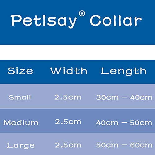 PetIsay LED Collar para Perros, Super Brillante con luz LED Recargable por USB, Collar de Perro Iluminado para Seguridad Nocturna, Resistente al Agua, tamaños Ajustables(Azul Real，L(50-60cm))