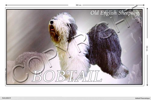 Pets-Easy.com - Adhesivo para perro panorámico (15 cm a 100 cm), color rojo