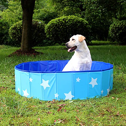 Piscina Plegable para Mascotas Suministros Bañera de Baño para Perros Gatos y Niños Estanque de Agua para Exteriores de Plástico Duro de PVC Azul,120 * 30cm