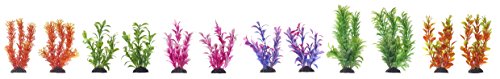 Pistacho Pet – Pack de 12 hermosas plantas de acuario (6 colores)