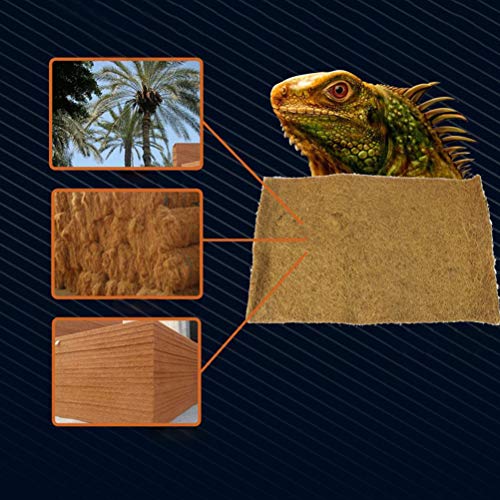 POPETPOP - Alfombra para Reptiles de Fibra de Coco para lagartos, Tortugas, Serpientes, Iguana, 50 x 30 cm