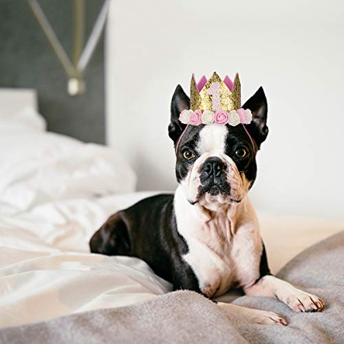 POPETPOP Corona de Cumpleaños Rosa con Número 1-9 para Mascota Perro Gato y Niñas