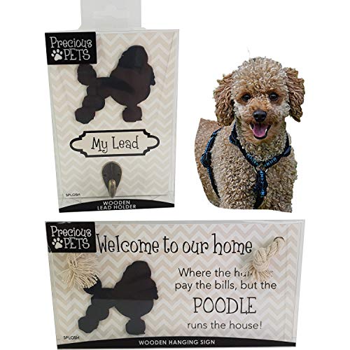 Preciosa placa de perro y gancho de plomo para perro, caniche y carteles divertidos, regalos para perros y madres