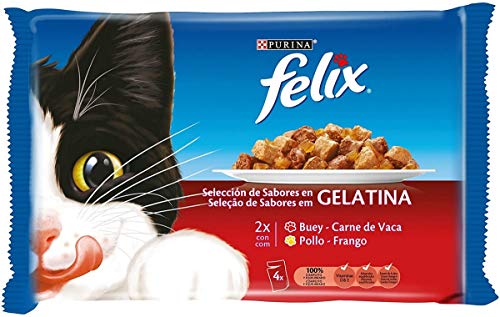 Purina Felix Gelatina comida para gatos con surtido de carnes 10 x [4 x 100 g]