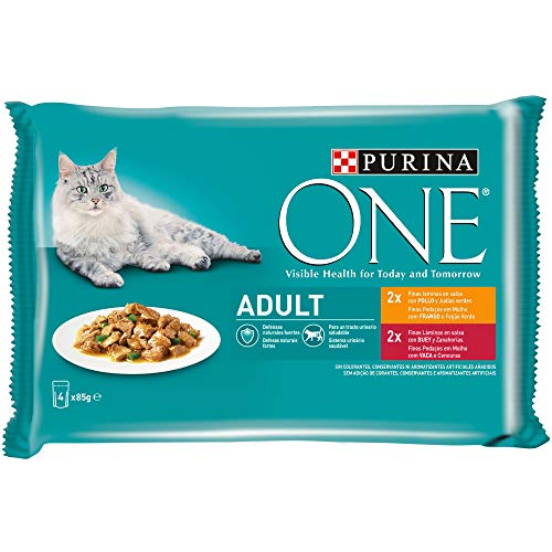 Purina ONE comida húmeda para gato adulto filetes en salsa con pollo 12 x [4 x 85 g]