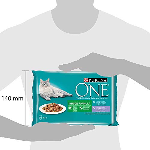 Purina ONE  comida húmeda para gato Indoor filetes en salsa 12 x [4 x 85 g]