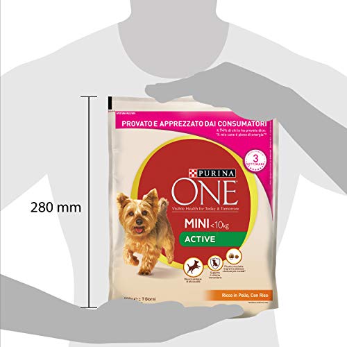 PURINA ONE DD My Dog Is Active Pollo y arroz 800 g – 8 Unidades
