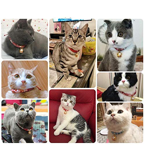 QINGYU Collares para Mascotas de 3 Colores con Campana, Collares de Gato Ajustables, Correas de Seguridad para Cachorros y Gatitos-H_S