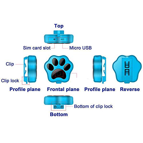 Qyoung Collar rastreador GPS Inteligente para Perro, Gato, Impermeable, localizador de Mascotas antipérdida, con luz LED Intermitente Inteligente y función de Alarma de Geo-Vale, sin cuotas mensuales
