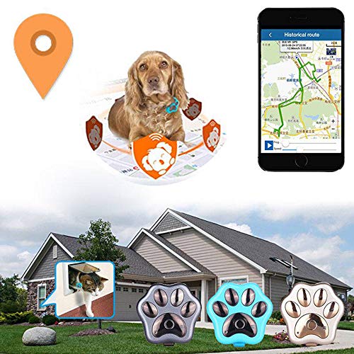 Qyoung Collar rastreador GPS Inteligente para Perro, Gato, Impermeable, localizador de Mascotas antipérdida, con luz LED Intermitente Inteligente y función de Alarma de Geo-Vale, sin cuotas mensuales