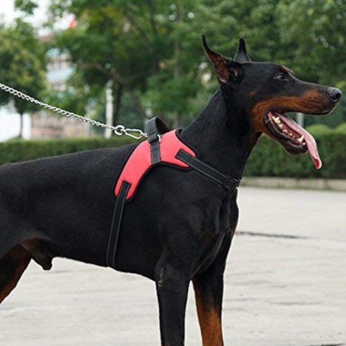 RCruning-EU Perros Pecho de Arnés Mascotas Reflectante Antitranspirante Acolchado Dog Vest Harness Ajustable Arnes Seguridad Chaleco Cabestro para Ejercicio de Caminar Formación Corriendo-Red-L