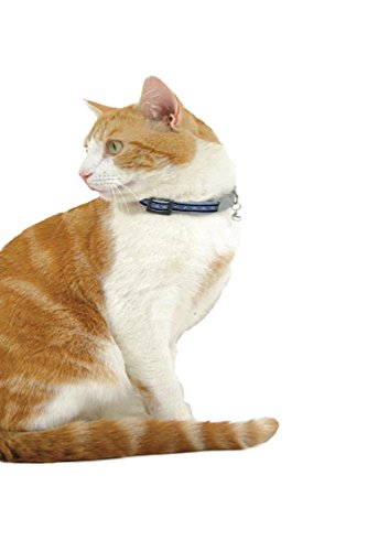 Red Dingo Collar Reflectante Gato, Nailon, Negro, Small