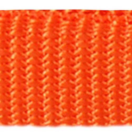 Red Dingo Plain - Collar Perro, Naranja (Orange), talla del fabricante: M