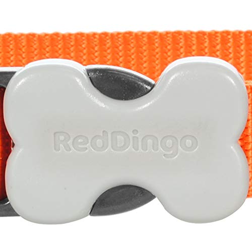 Red Dingo Plain - Collar Perro, Naranja (Orange), talla del fabricante: M