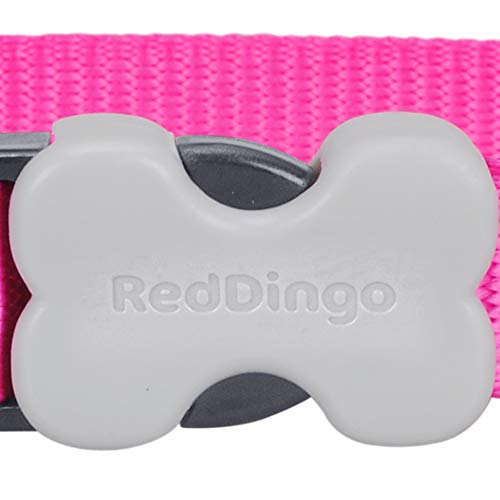 Red Dingo Plain - Collar Perro, Rosa (Hot Pink), talla del fabricante: L