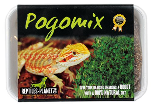Reptiles Planet Sprout Seeds for Pogona Complete Kit