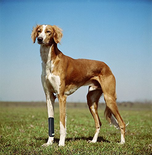 RockPet Órtesis Curadora Articulación Pata Delantera de Perro Envoltura Canina de Corvejón (S/M)