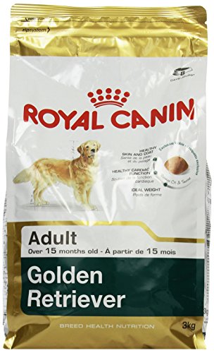 Royal Canin C-08994 S.H. Nut Golden Retriever - 3 Kg