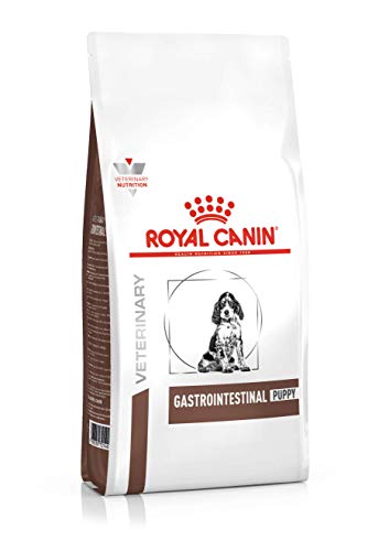Royal Canin C-11208 Gastro Intestinal Junior Gi29 - 2.5 Kg