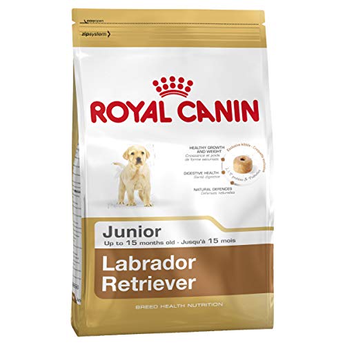 Royal canin - Labrador Junior pienso para Labrador Joven