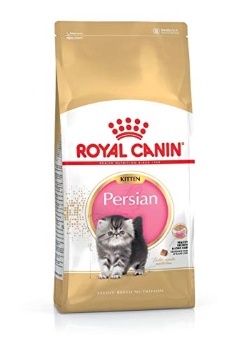 Royal canin - Persian pienso para Gatitos de Raza Persa