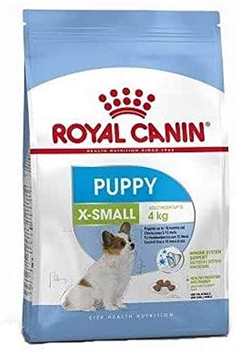Royal canin X-small Junior pienso para perros mini/toy