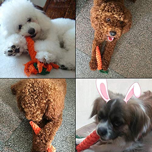 runfon juguete perro peluche couineur juguete de mascar perro de peluche en forma de zanahoria para limpiar los dientes y la entrâinement para cachorro de mascotas