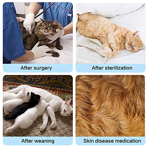 Rysmliuhan Shop Ropa para Gatos Pequeños Traje De Recuperación para Gatos Traje quirúrgico para Perro después de castrar Ropa de Gato Solo para Gatos Blue,l