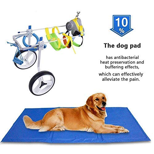 SehrGo Silla de ruedas para perros ajustable, Altura de cadera 7"-20", Peso de 8 a 55 lb, Rehabilitación de patas traseras, Carro para perros de 2 ruedas (M)