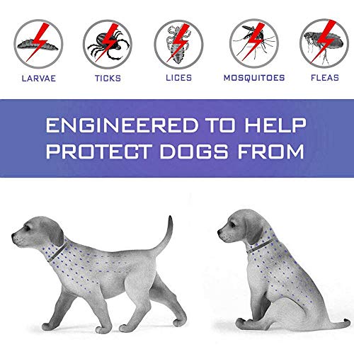 Seisso Collar Antiparasitos Perros y Gatos,contra Pulgas, Garrapatas y Mosquitos, 8 Meses de Protección