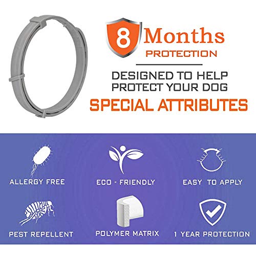 Seisso Collar Antiparasitos Perros y Gatos,contra Pulgas, Garrapatas y Mosquitos, 8 Meses de Protección