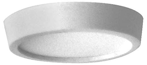 Sera 08054 Pata de cerámica como Repuesto para Las Patas de cerámica contenidas en el difusor de presión de CO2 Flore