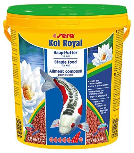 Sera Koi Royal Large (6 mm) es un alimento para una Larga y Sana Vida de Koi a Partir de 25 cm con prebióticos para una Mejor alimentación alimentaria, Menor Carga de Agua y Menos Algas.