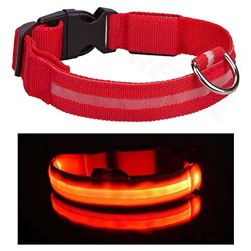 Shih Tzu - Collar para perro con luz LED de color rojo, tamaño S, recargable, con luz de seguridad y cable de carga USB