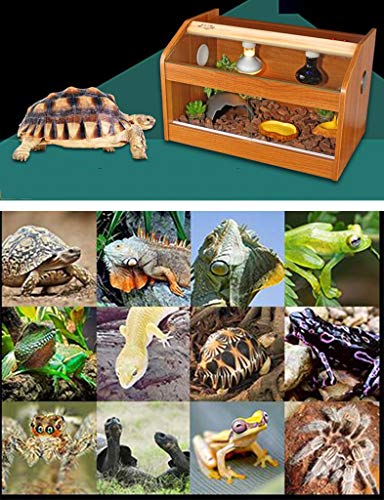 Space- rack Z-W-Dong Pantalla Animales Gabinete, Anti-escaldar hibernación Incubadora de la Tortuga de la Serpiente del Reptil Hamster Casas 40CM / 50CM Jaulas para pájaros (Size : 40 * 30 * 32CM)