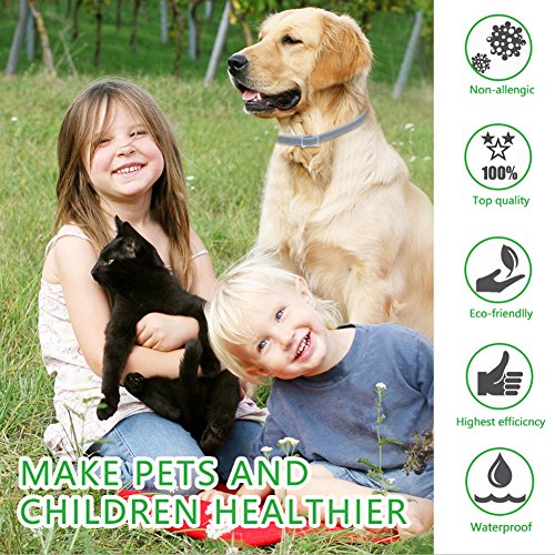 Sue Supply Collar para perros de 8 meses de protección, ajustable e impermeable, la mejor solución de plagas naturales para perros/gatos