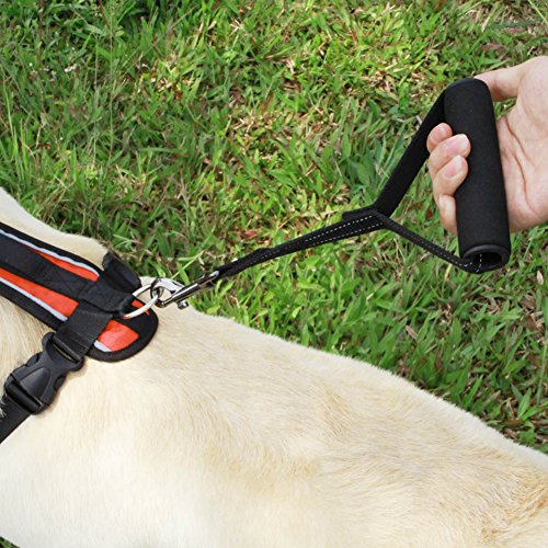 Sue Supply - Correa para perro (correa corta con asa acolchada), uso con acopladores dobles para perros, perros de servicio o como correa de tráfico.