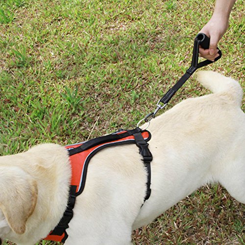 Sue Supply - Correa para perro (correa corta con asa acolchada), uso con acopladores dobles para perros, perros de servicio o como correa de tráfico.