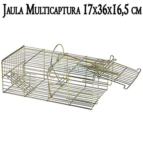 Suinga Jaula multicaptura 17 x 36 x 16,5 cm. Jaula de Alambre con un Departamento, Ideal para la Captura de roedores.