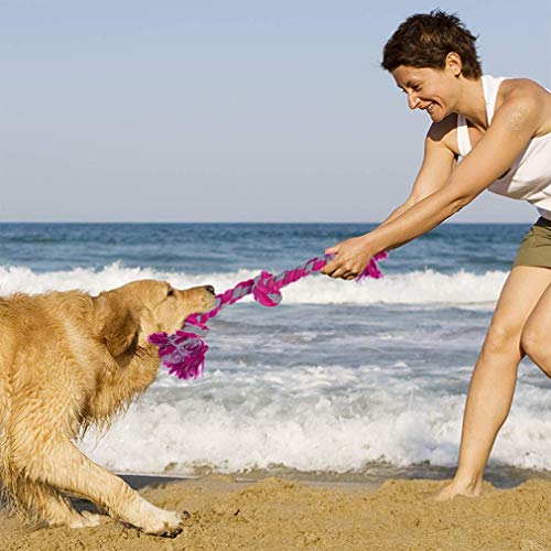 SunGrow - Cuerda Trenzada Triple Anudada para Perros (20") por algodón Resistente - Juguetes de Colores Brillantes para Masticar, Apto para Incluso Perros de Razas Medianas y Grandes: