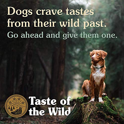 Taste Of The Wild pienso para perros con Salmon Ahumado 5,6 kg Pacific Stream