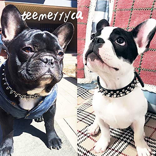 teemerryca - Collar de perro de piel sintética resistente con tachuelas