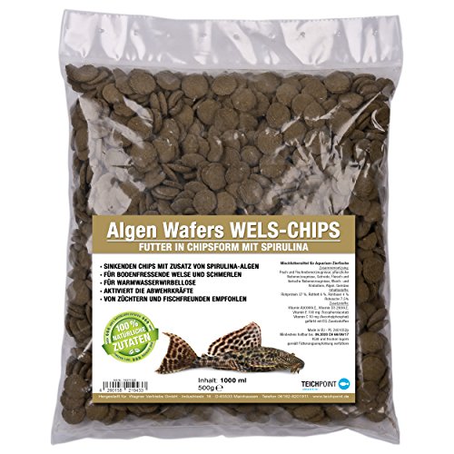 Teichpoint Algas de wafers Siluro de chips (Forro Principal para todos los pflanzenfressenden suelo peces y scheuen Ornamentales peces en barquillo Forma) – Siluro Forro en bolsa de 1 L