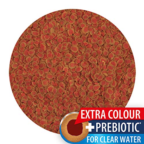 Tetra Pro Colour Multi-Crisps 500 ml - Alimento Completo con un Valor nutritivo óptimo, Concentrado de Color Adicional realza la coloración de los Peces